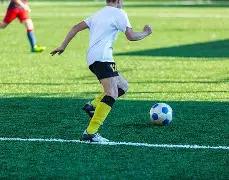 体育院校高,层论坛召开,共谋体育教,完美体育,WMSports,完美体育网址,完美体育app,完美体育官网,完美体育集团