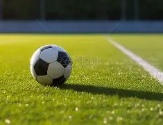 孙颖莎,林诗栋并肩,领先国际乒,完美体育,WMSports,完美体育网址,完美体育app,完美体育官网,完美体育集团