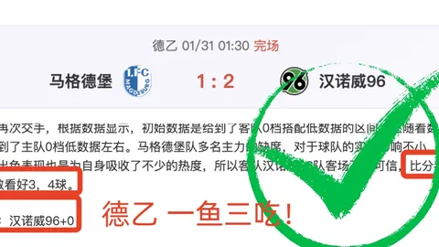 荷甲联赛周五008：特温特VS福伦丹专家质合分析推荐